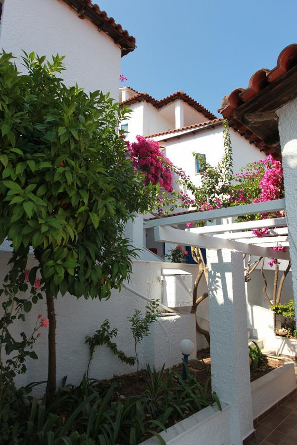 Hotel Elena Syvota Ngoại thất bức ảnh