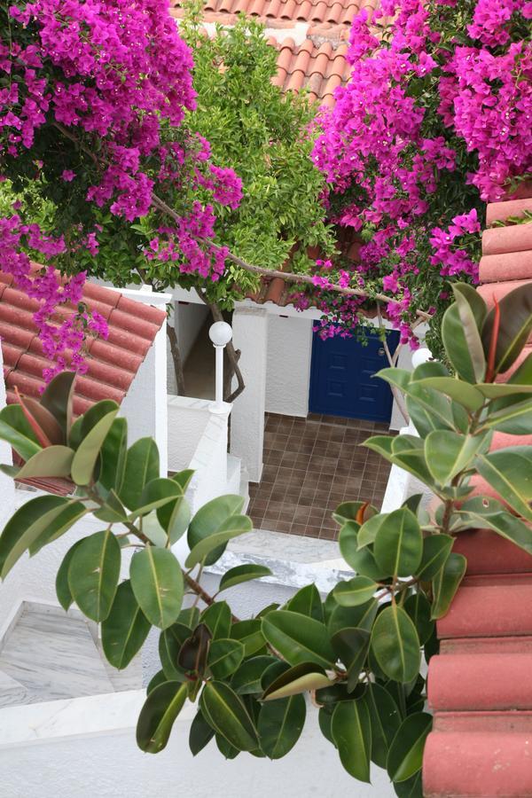 Hotel Elena Syvota Ngoại thất bức ảnh